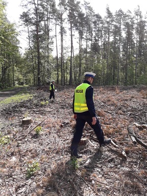 policjanci Ruchu Drogowego podczas poszukiwań w terenie leśnym